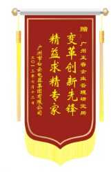 白云電氣集團(tuán)贈(zèng)送正睿咨詢變革創(chuàng)新先鋒，精益求精專家錦旗