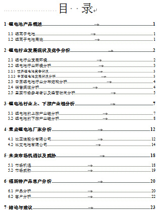 《福斯特集團(tuán)調(diào)查報(bào)告書(shū)》